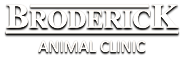 Broderick Animal Clinic